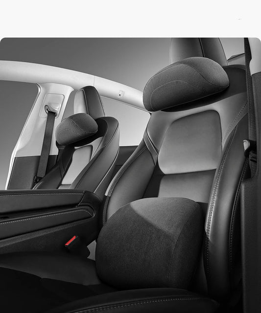 Neck Pillow Protection for Tesla